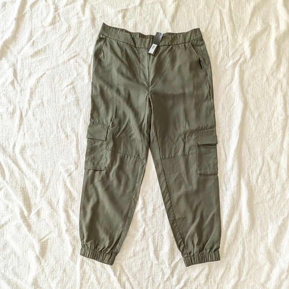 Banana Republic Pants - Banana Republic TENCEL Pull-on Joggers, Steel Green Global, Large